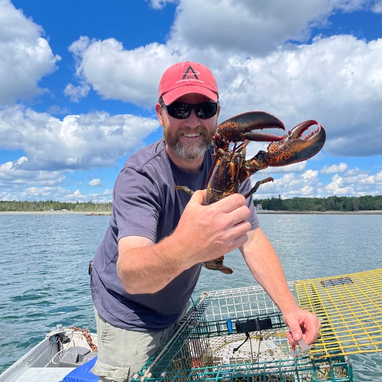 jon mitchell holding a lobster near the ocean