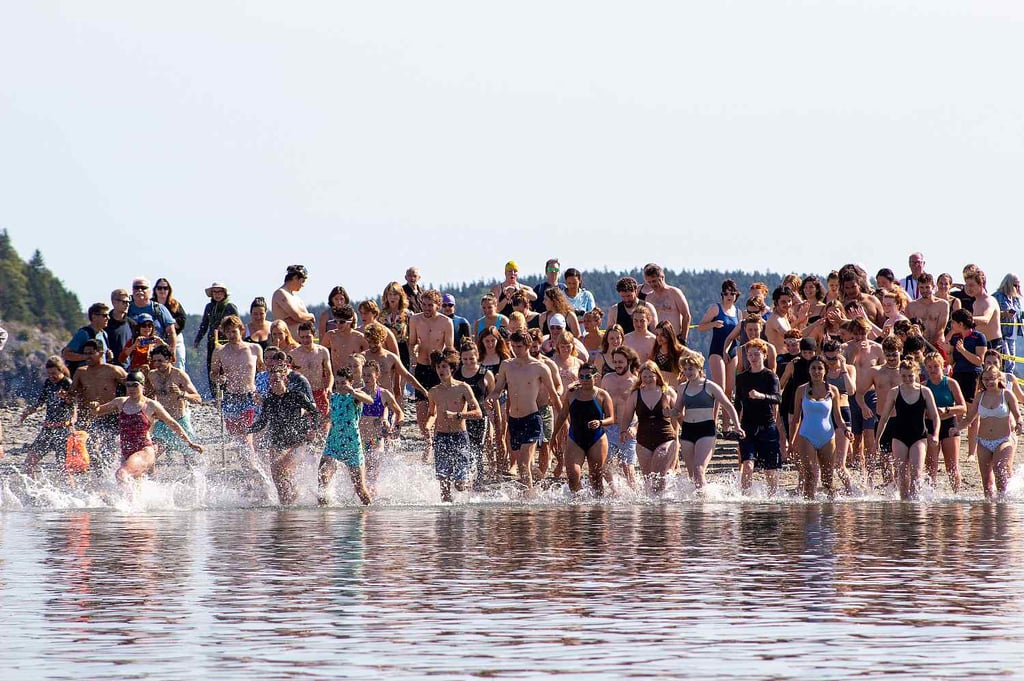 COA community members run into Frenchman Bay at the beginning of the annual Bar Island Swim.