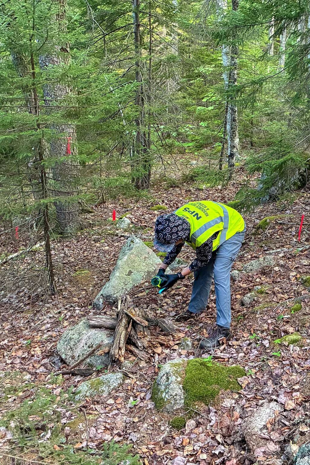 Person working in forested area
