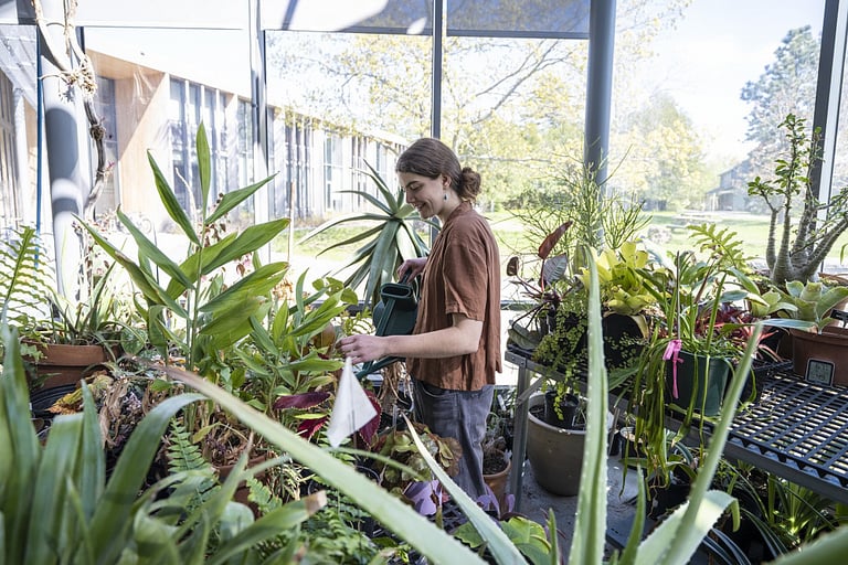 Person tending to indoor plants.