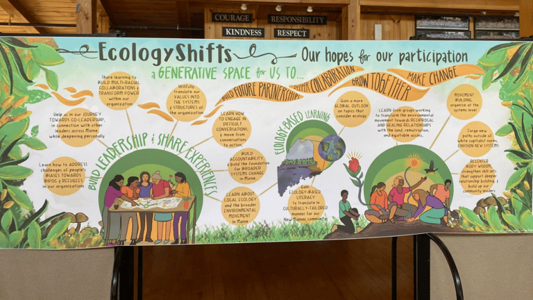 EcologyShifts event hopes and participation