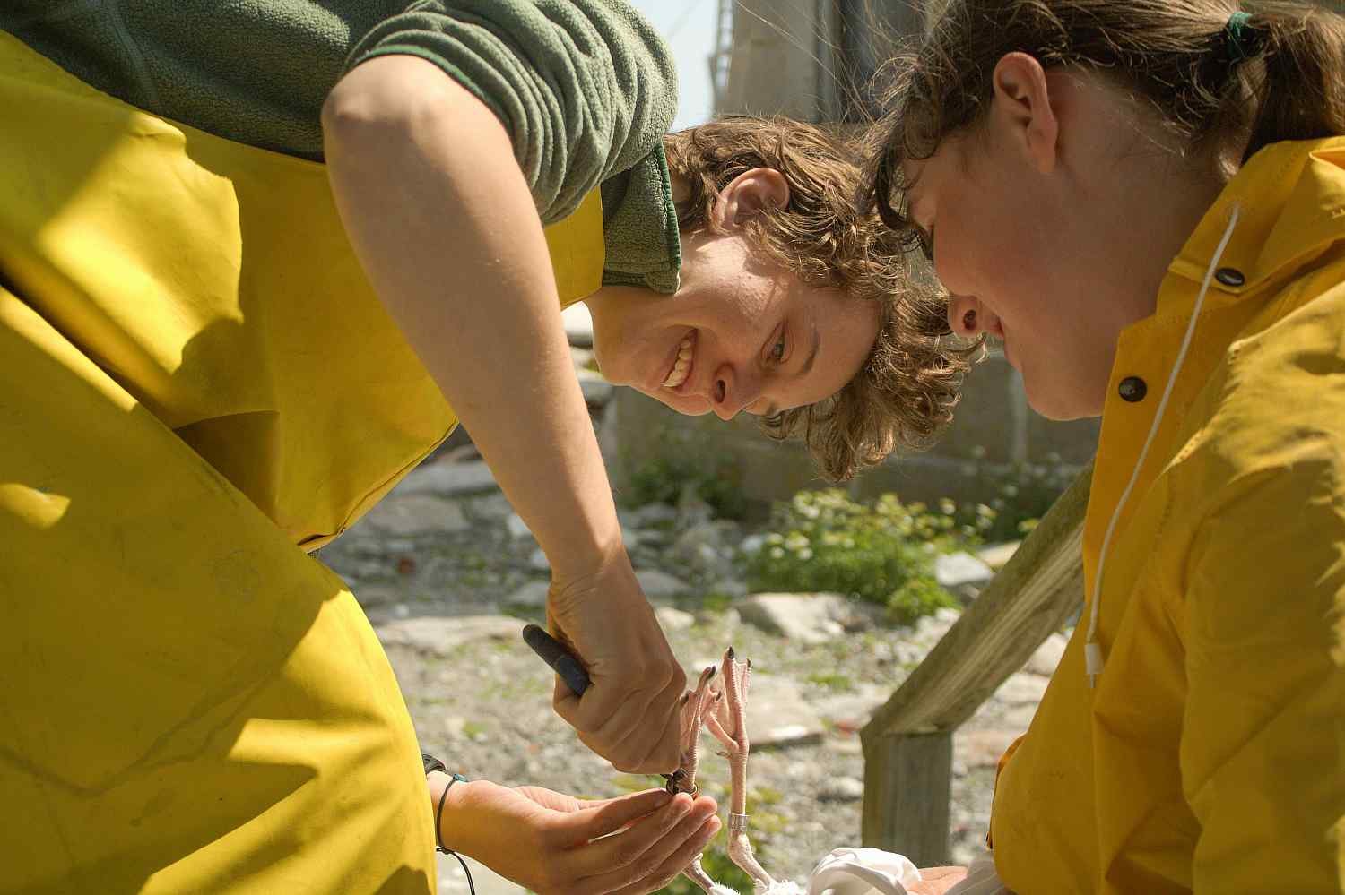 Two people working with marine life.