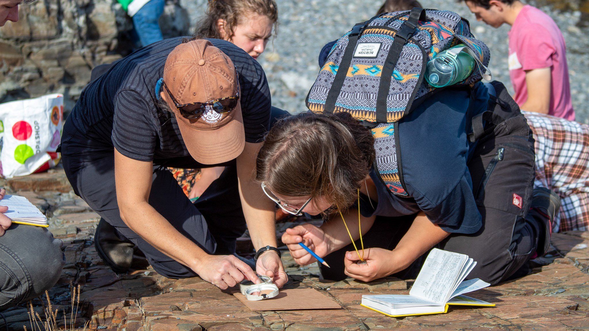 Students conducting field research outdoors.