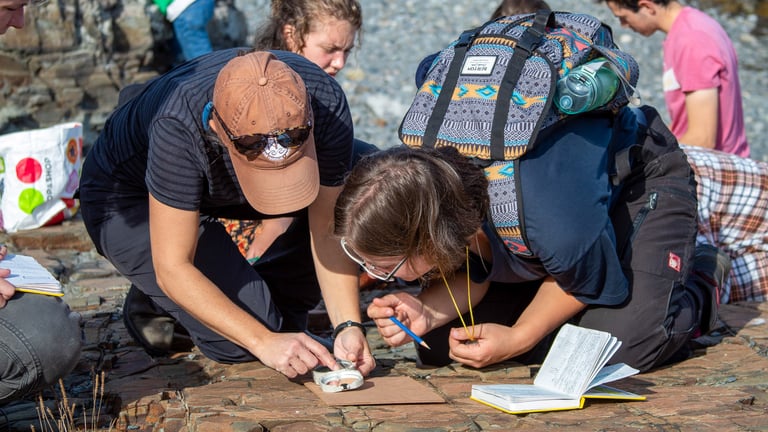 Students conducting field research outdoors.