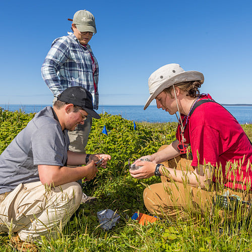 People working outdoors in nature.