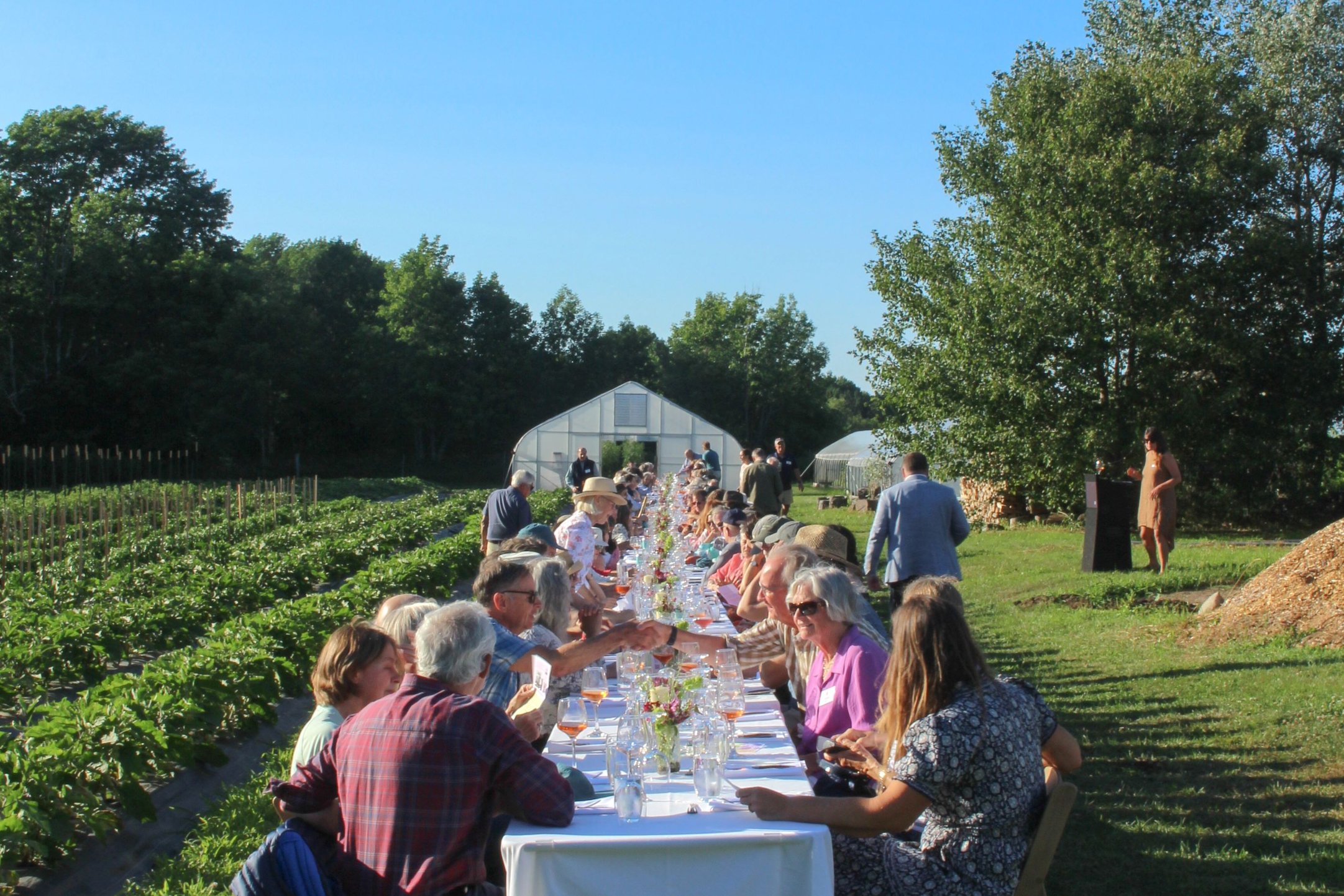 people seated at a long table in a field