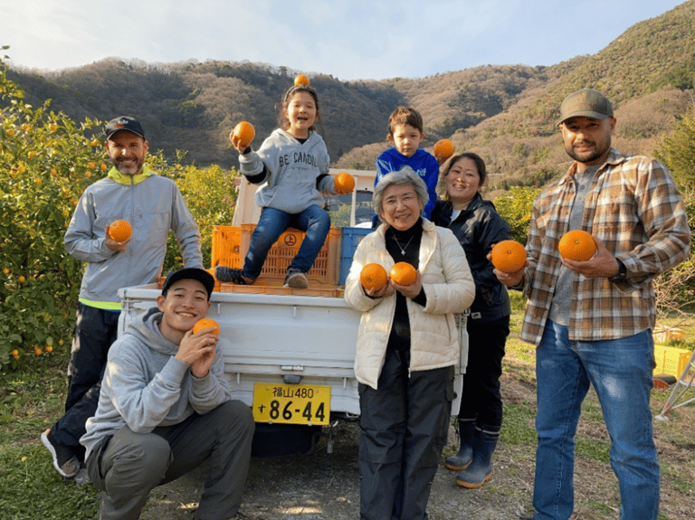 Group harvesting oranges in nature.