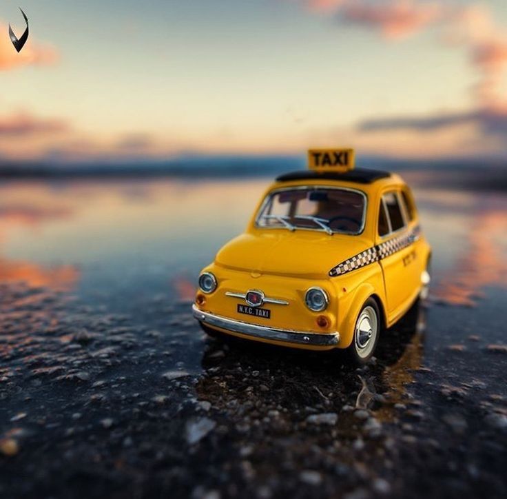 Moroccan Wedding Traditional