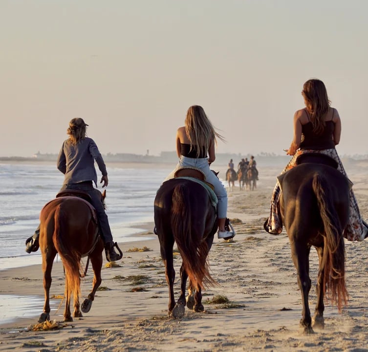hourse ride morocco essaouira