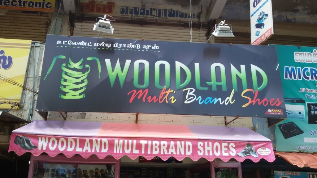 Woodland Multi Brand shoes