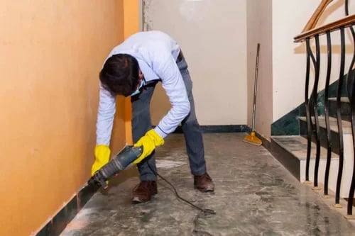 care pest control - 3