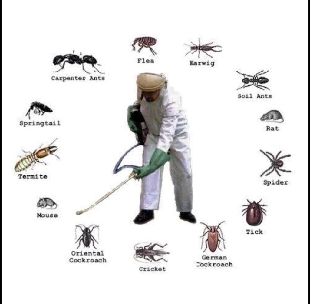 PREMIER PEST CONTROL - 2
