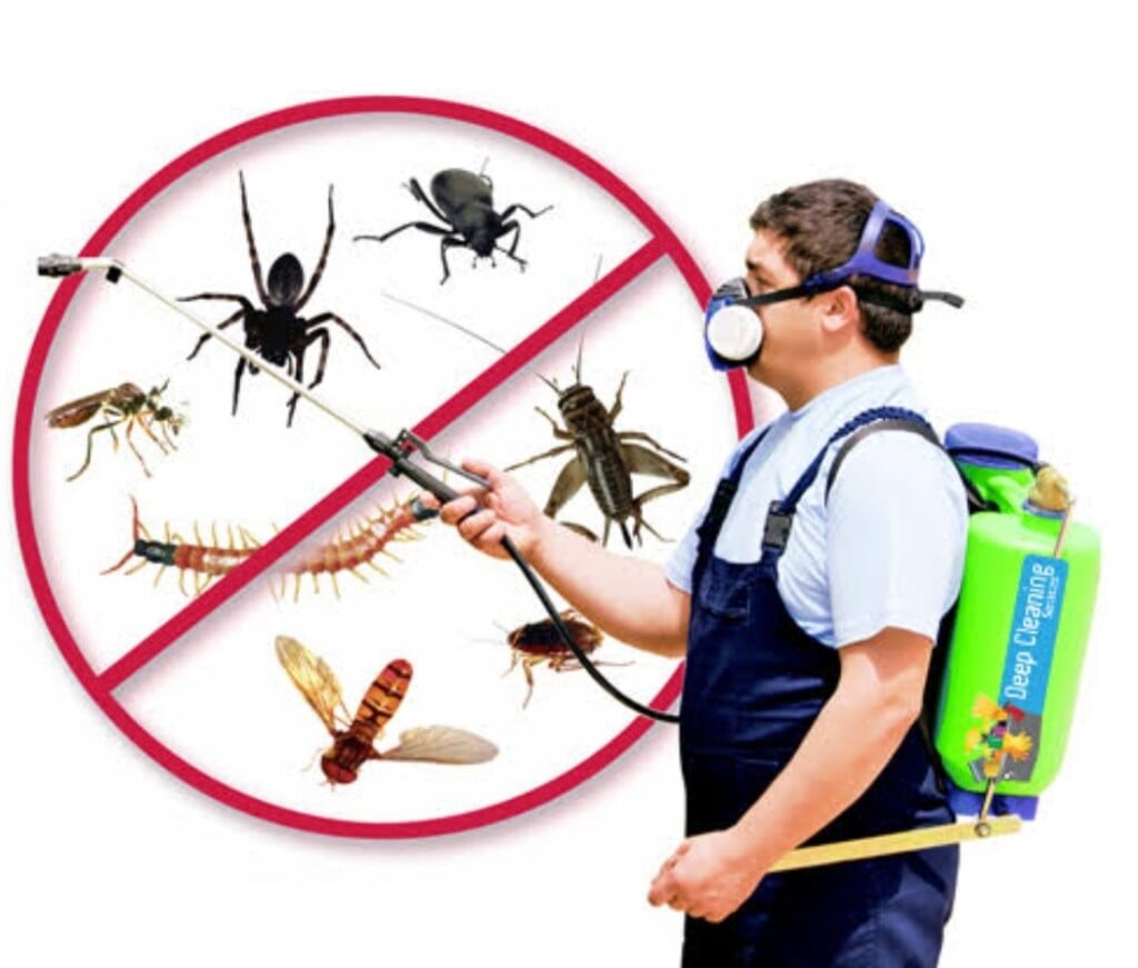 PREMIER PEST CONTROL - 3