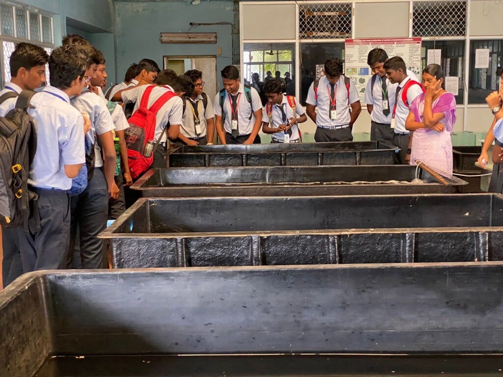 BMC Group Of Schools - 5