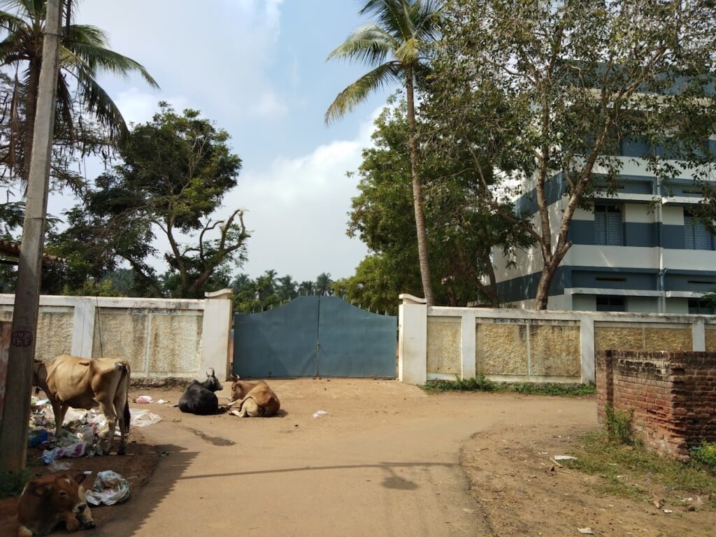 Don Bosco School - 2