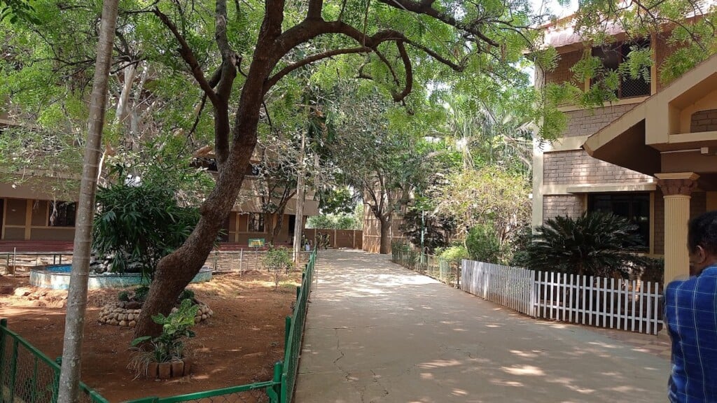 Blossom Public School, Primary and Secondary section - 4