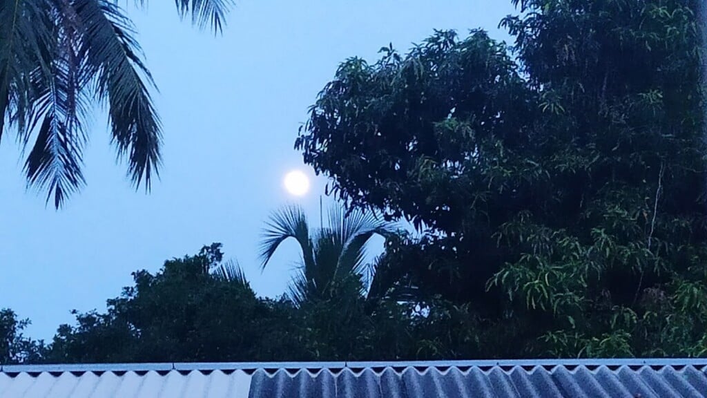 Jai Saradha Matriculation Higher Secondary School - 2