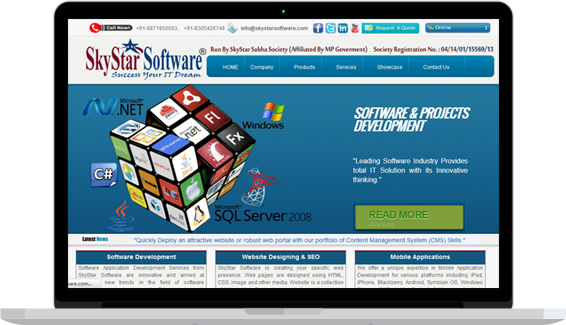 SkyStar Software Website Development Services - 3