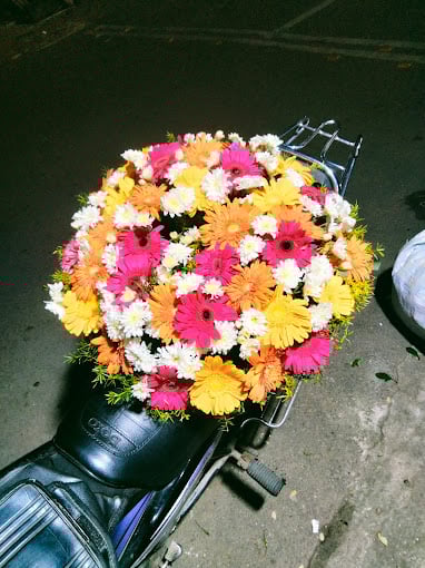 Dr Gayathri Homeopathy clinic