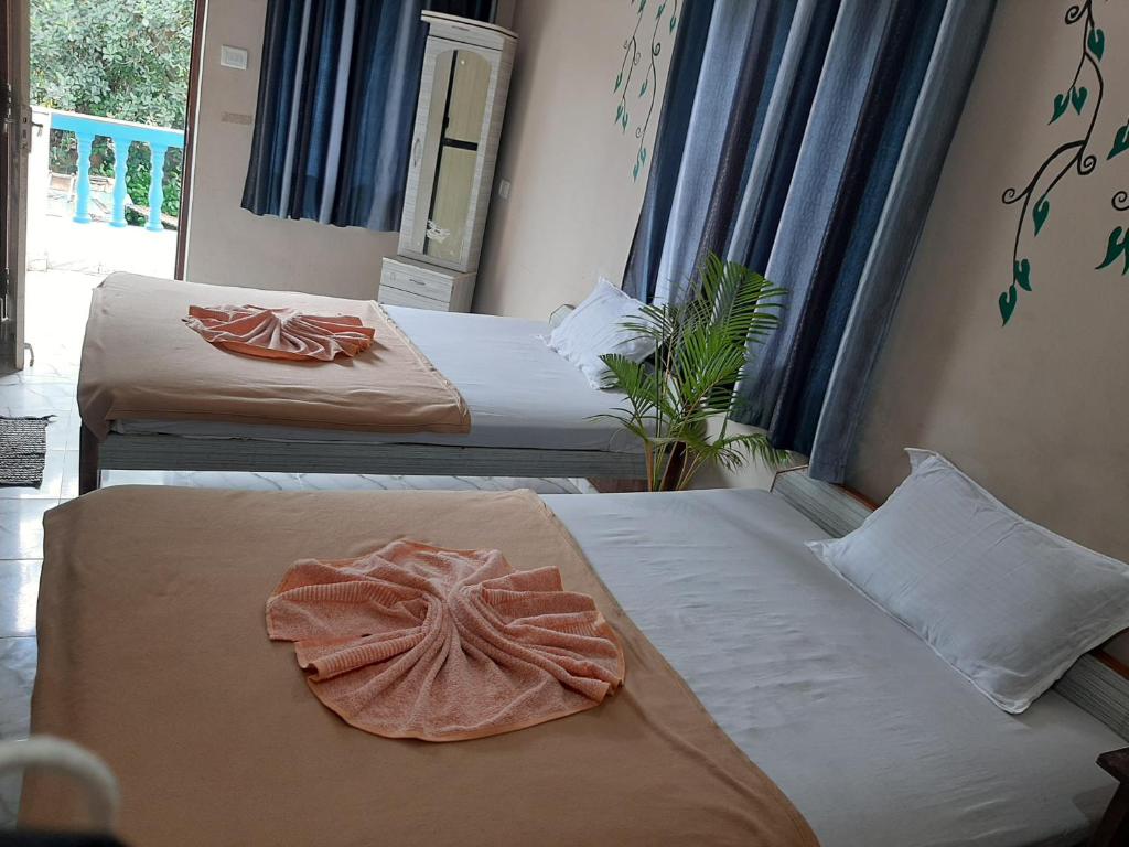 Casa Almeida Hotel - 3