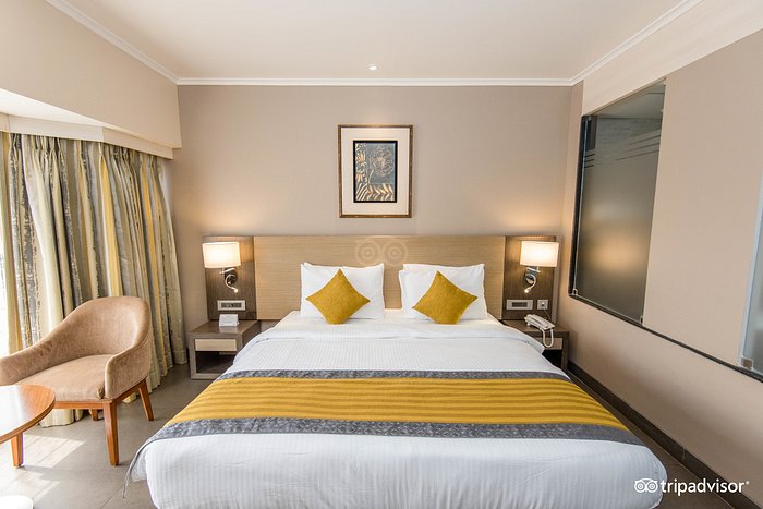 Hotel Grande Delmon - 4