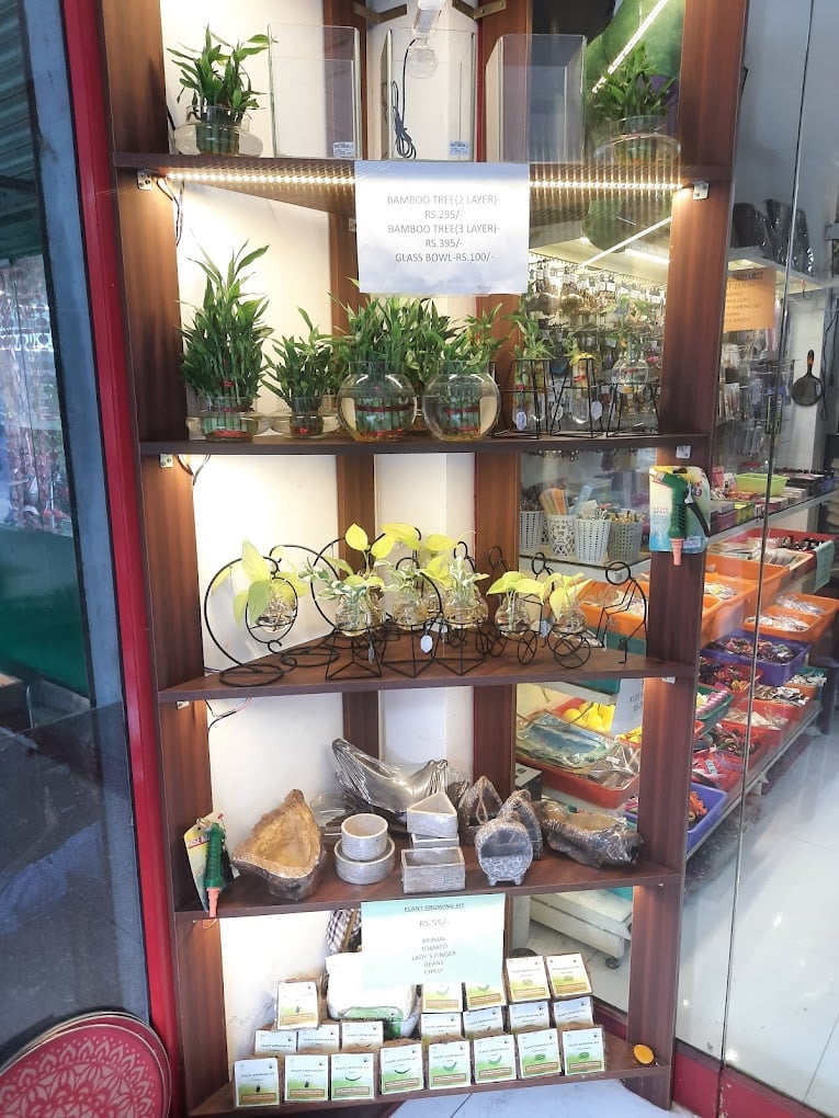 EDIFICe - Gift shop ( PEBBLES) - 5