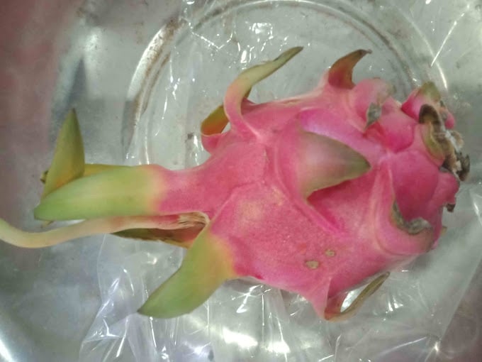 Indar Electrical - 5