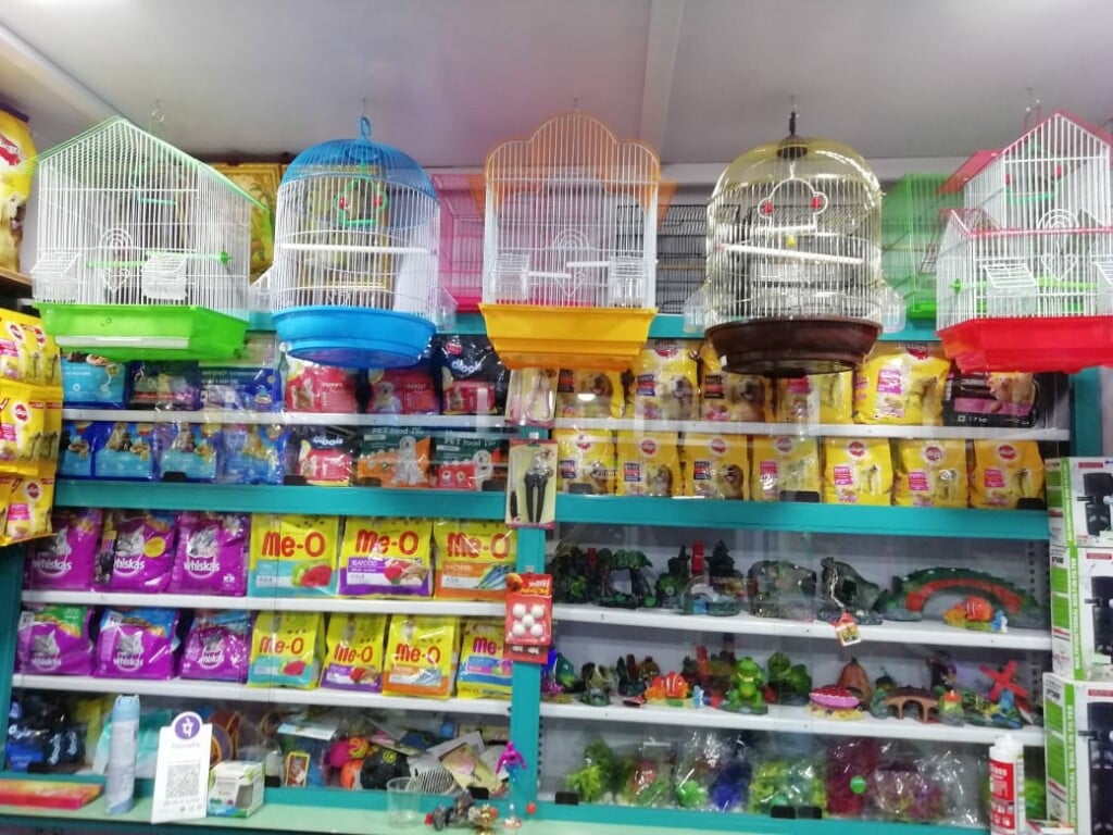 Chennai Pets Mart & Aquarium - 5