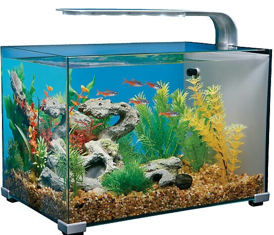 Chennai Pets Mart & Aquarium - 3