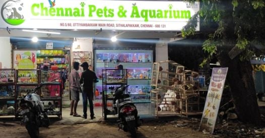 Chennai Pets Mart & Aquarium