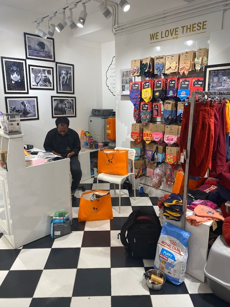 Heads Up For Tails | Kotturpuram, Chennai - 2