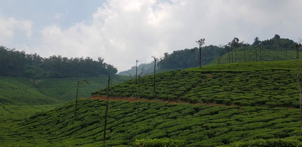 Yathumagi Tours & Travels - 3