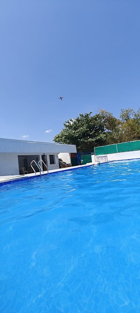 DOLPHIN SWIMMING POOL