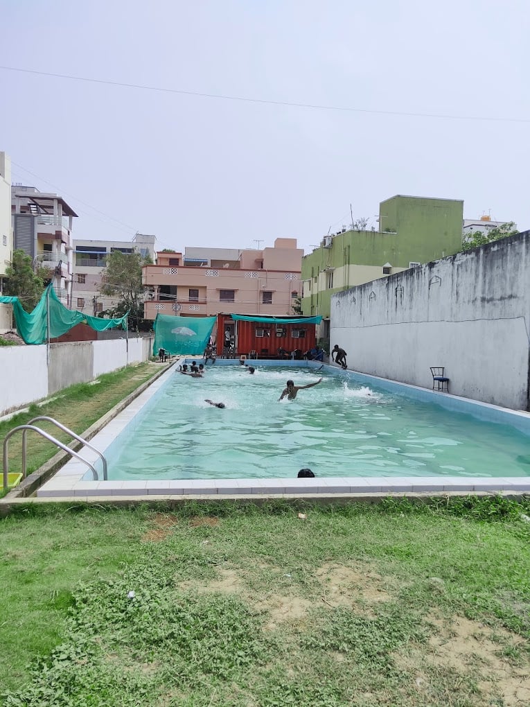 Blue Waters Swimming Academy