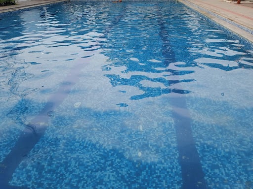 Stark Swimming Club-Mogappair-Fireball - 3