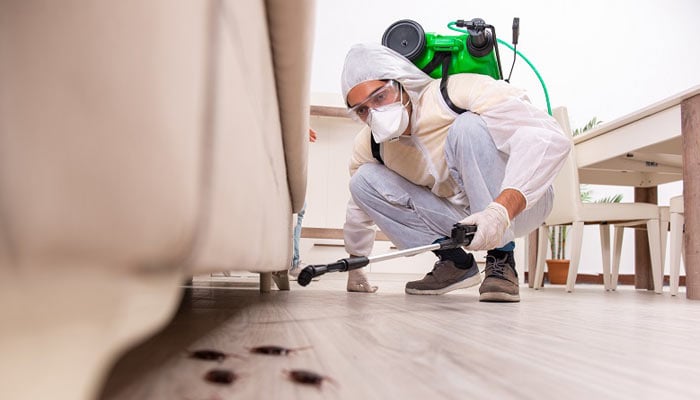 Tamilnadu Pest Control- Pest Control in Chennai - Termite Control in Chennai
