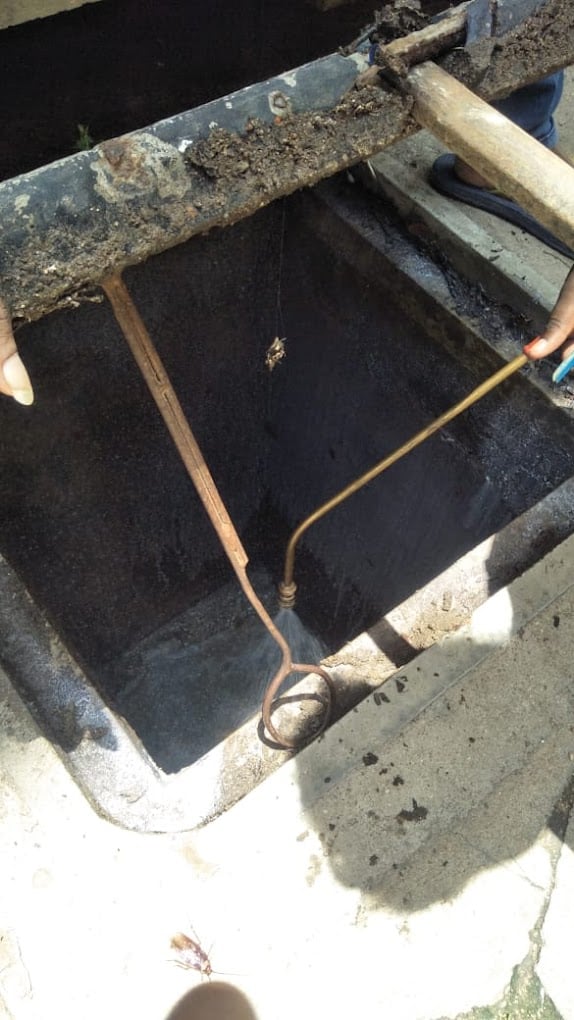 Tamilnadu Pest Control- Pest Control in Chennai - Termite Control in Chennai - 3