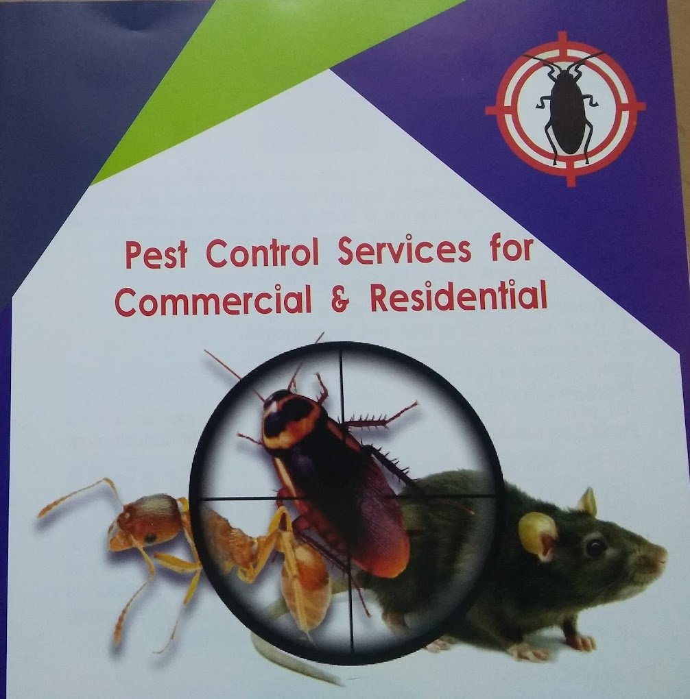 Rk pest control services chennai