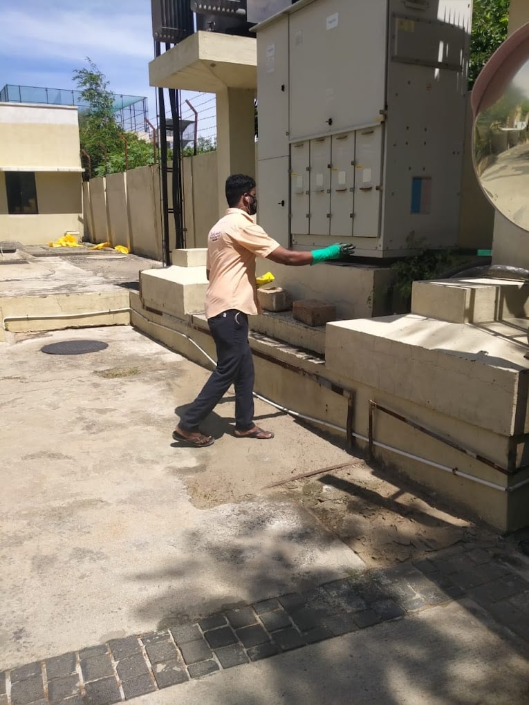 Entomist Pest Management Services Pvt Ltd - Pest Control Services in Chennai - 2