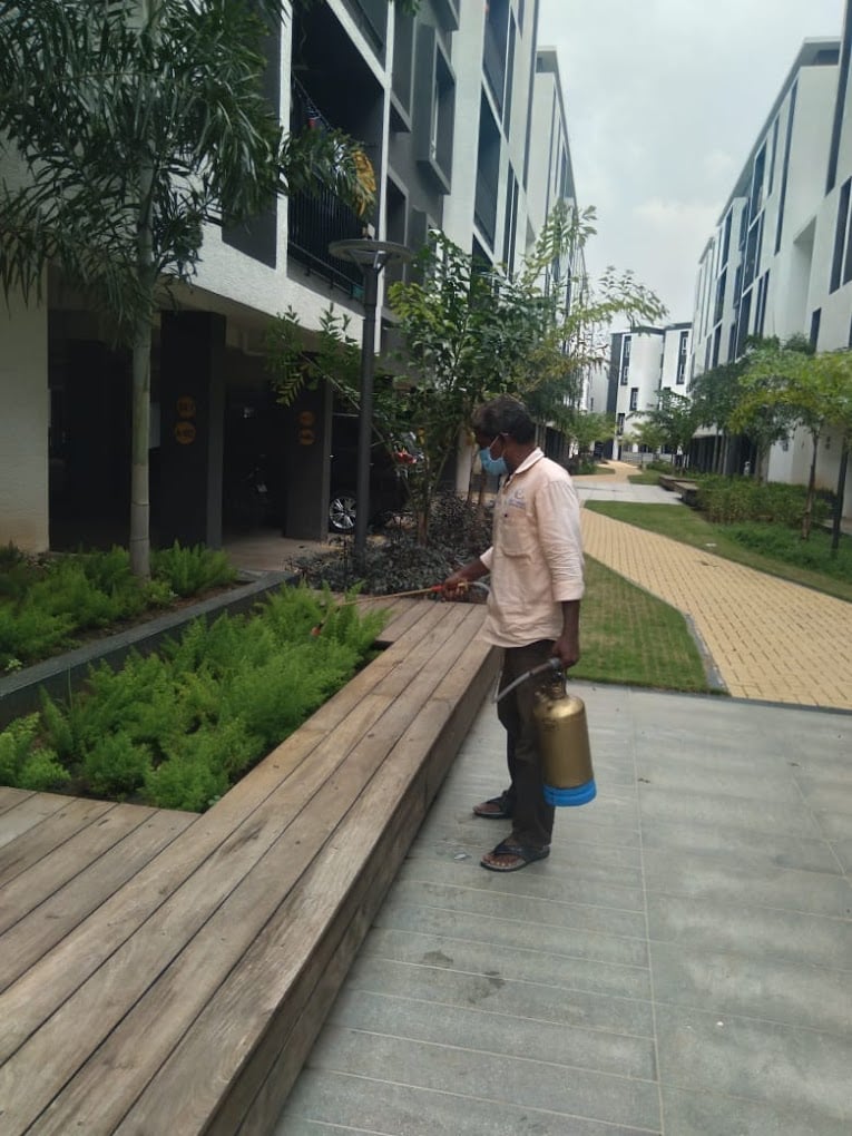 Entomist Pest Management Services Pvt Ltd - Pest Control Services in Chennai - 3