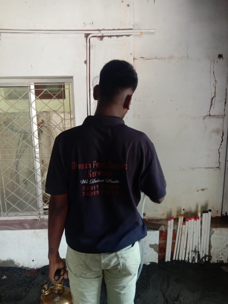 Dinesh Pest Control Services - Termite Control Treatment in Chennai - 3