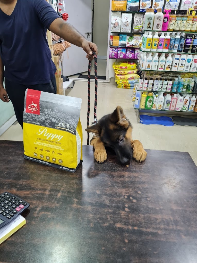 Best For Pets - Maduravoyal, Chennai - 2