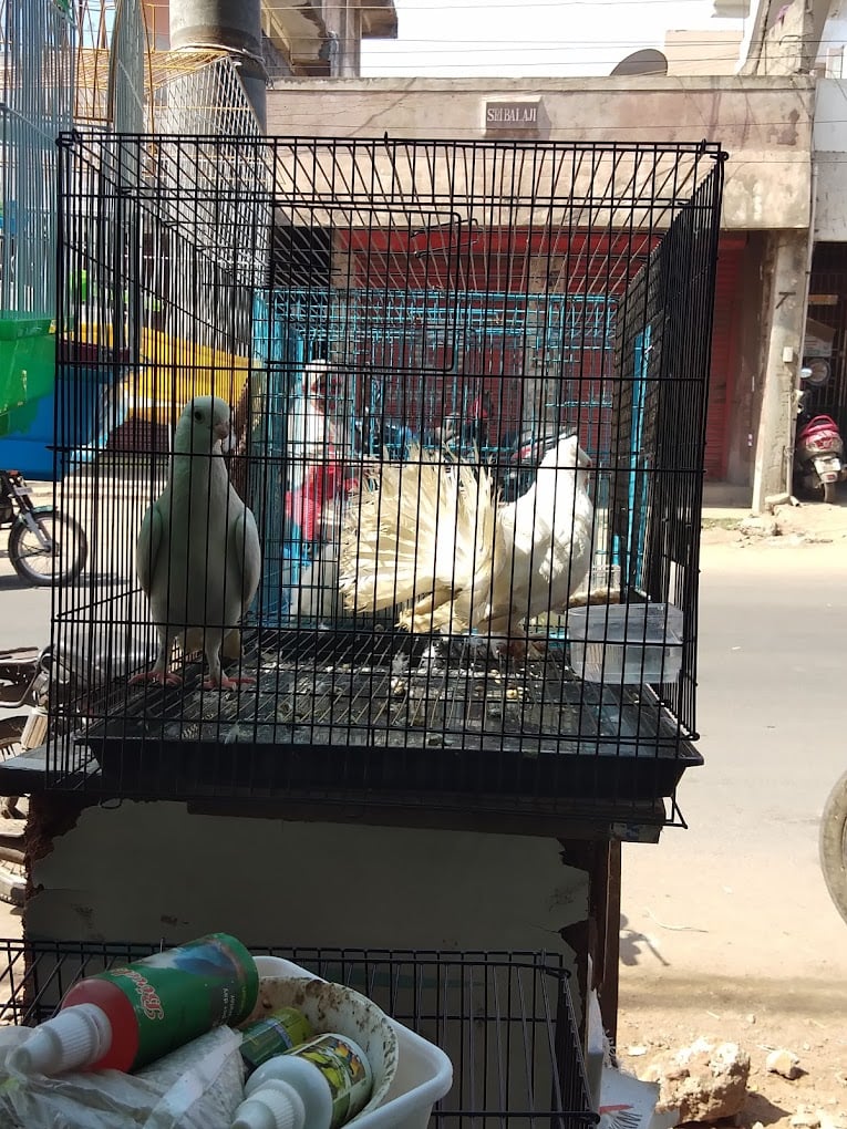 Arun pet shop - 2