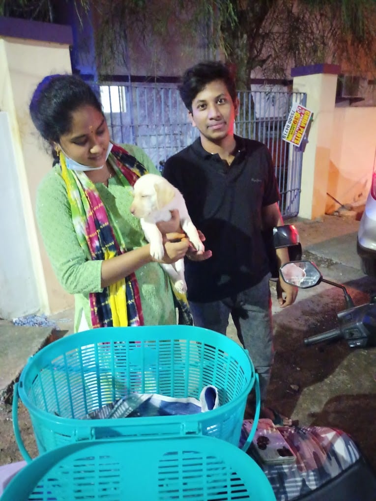 C.R Pets & Aquarium - pet shop, pet food & accessories, puppies sale - 4