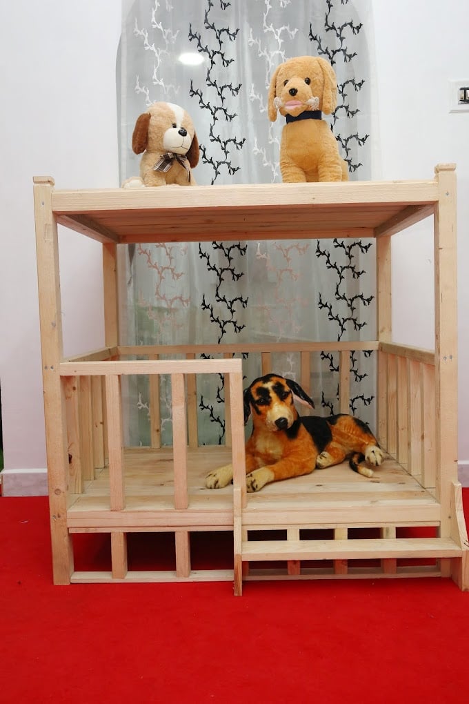 Best For Pets - Ramapuram, Chennai - 4