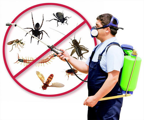 Chennai Pest Control Services - 2