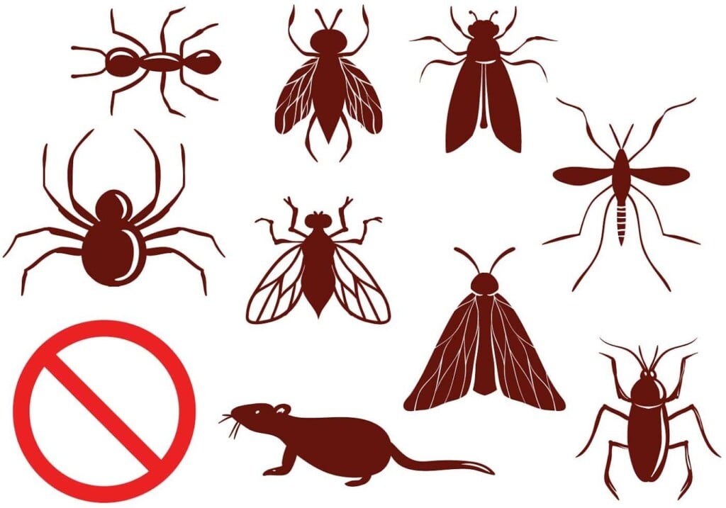 Raj Enterprises - Pest Control services in chennai (Govt.Approved & ISO Certified Company) - 3