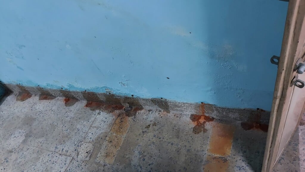 Raj Enterprises - Pest Control services in chennai (Govt.Approved & ISO Certified Company) - 2