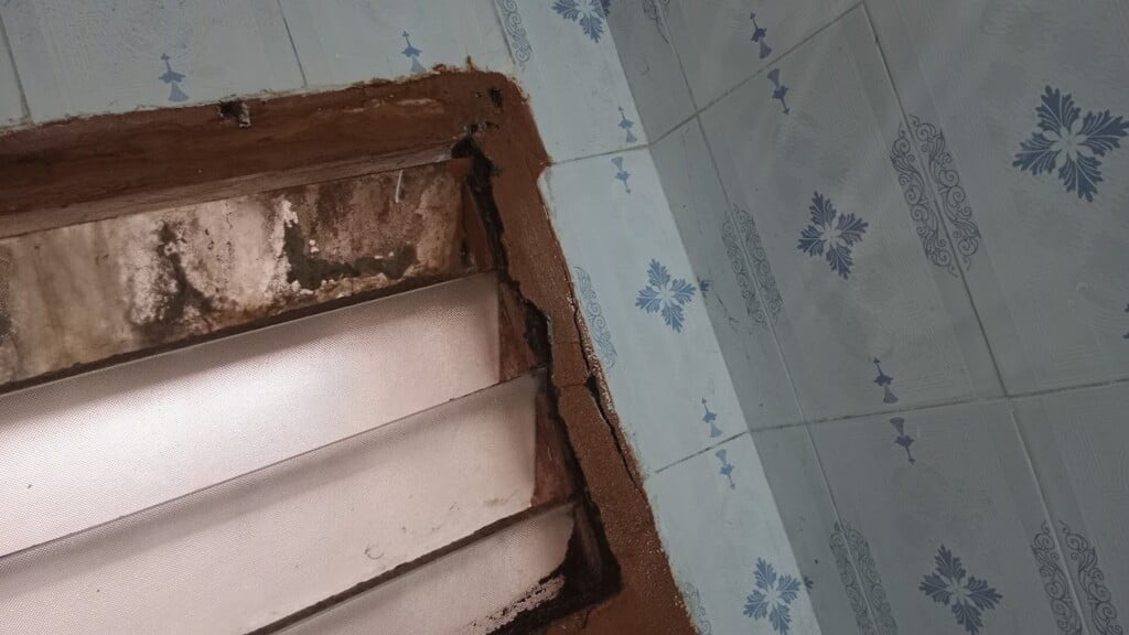 Kavi Pest Control - 4