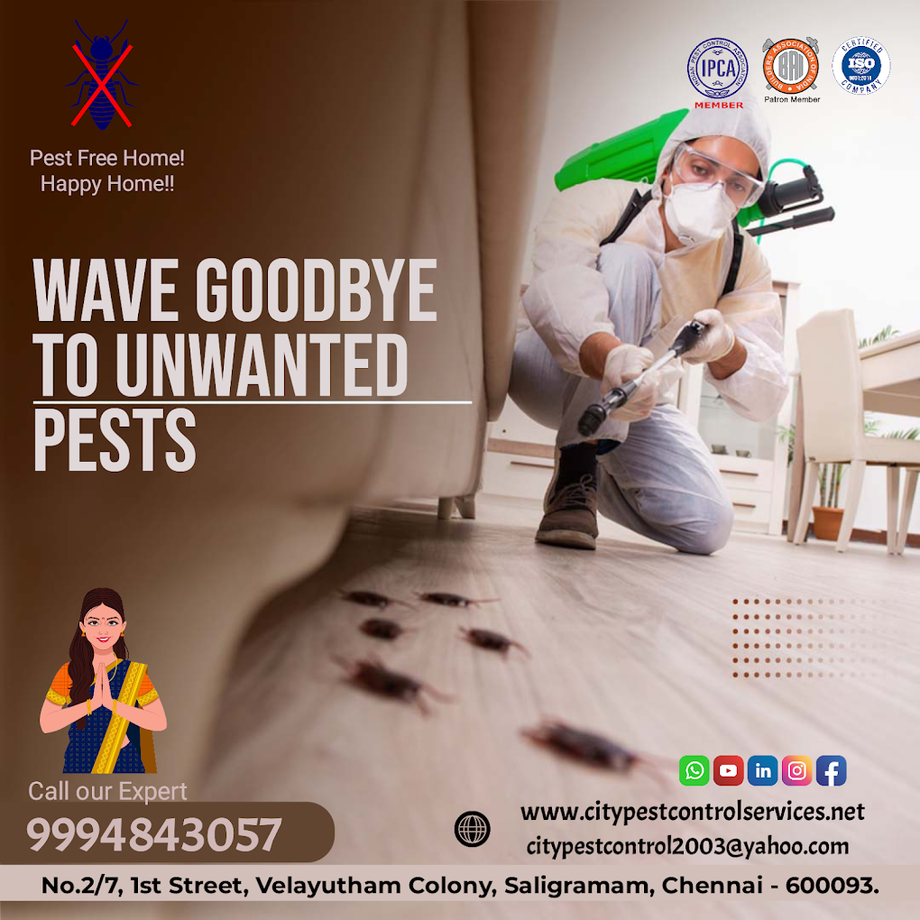 City Pest Control Services - 2